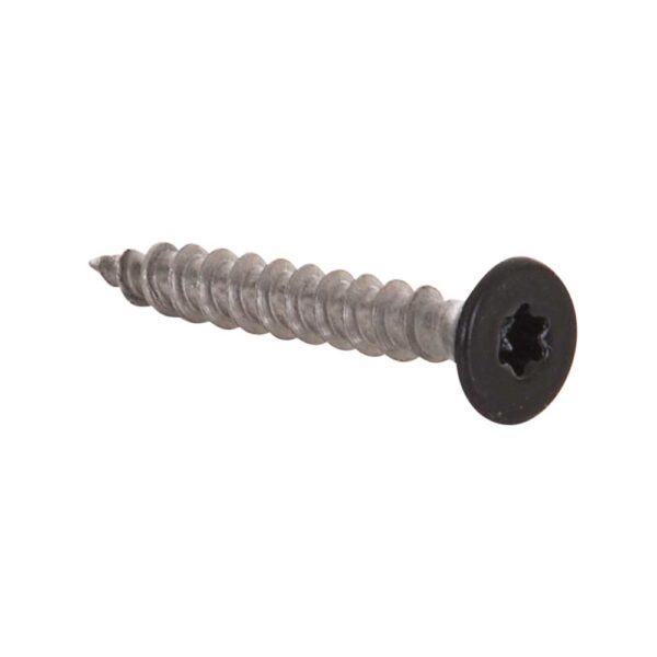 RVS-schroeven Zwart RAL9005